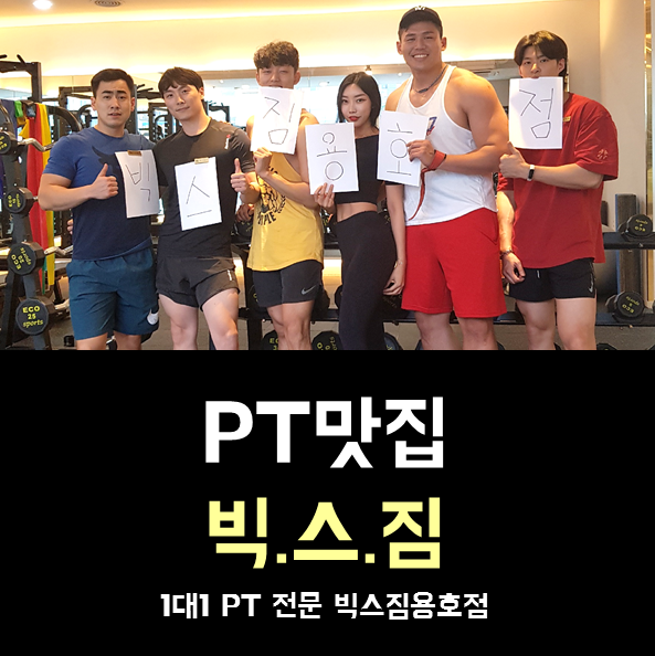  창원pt 확실하게 하고싶지 않아?