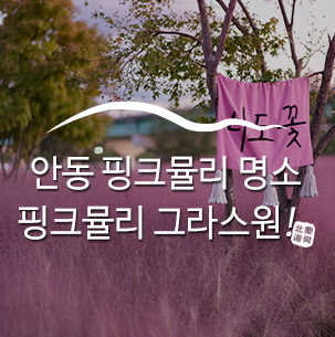  안동 핑크뮬리 명소, 핑크뮬리 그라스원 :: 안동여행, 안동핫플레이스, 안동핑크뮬리명소, 안동그라스원, 힐링여행, 경북가볼만한곳