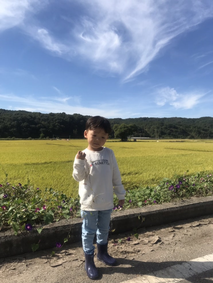  :: 대구근교나들이 :: 당일치기 군위여행, 메뚜기 잡기 체험, 리틀포레스트 영화촬영지