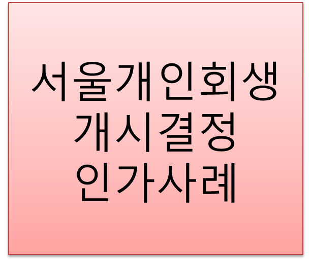  2019년 개인회생 성공사례(신청부터 인가결정까지)