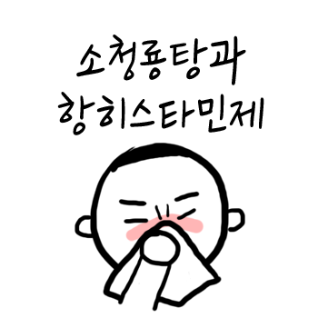 알레르기 비염 치료. 항히스타민제와 소청룡탕. 치료 사례 알레르기 비염 치료. 항히스타민제와 소청룡탕. 치료 사례