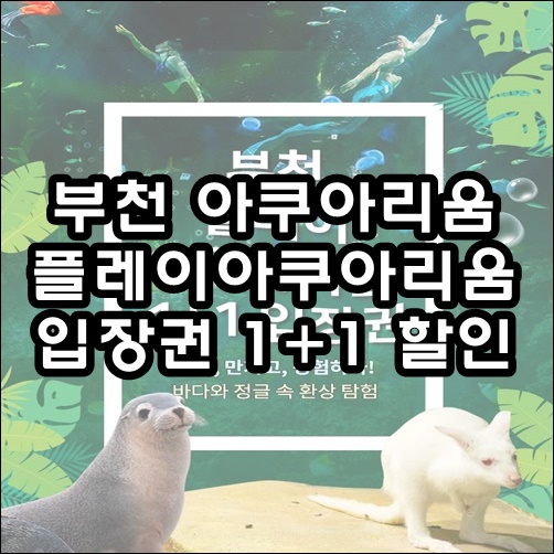  부천 아쿠아리움 1+1으로 즐기는 재미와 즐거움