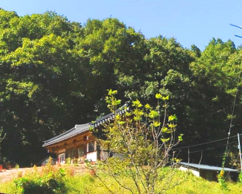 신흥사(新興寺)/경북 김천시 농소면 : 네이버 블로그