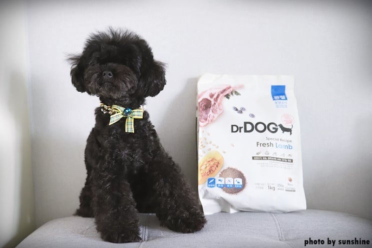  [애견사료추천] 닥터독 관절사료 1kg 소포장이 나왔어요.