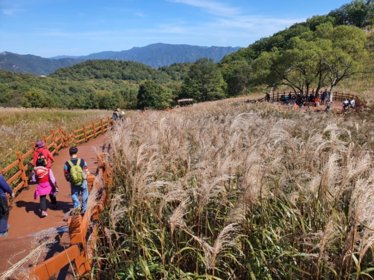  명성산 억새산행[10/9水한글날]