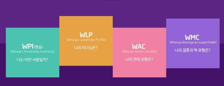  황심소 황상민 박사님이 만든 WPI 심리검사 결과 = 나는 아이디얼리스트 + 컬쳐 유형