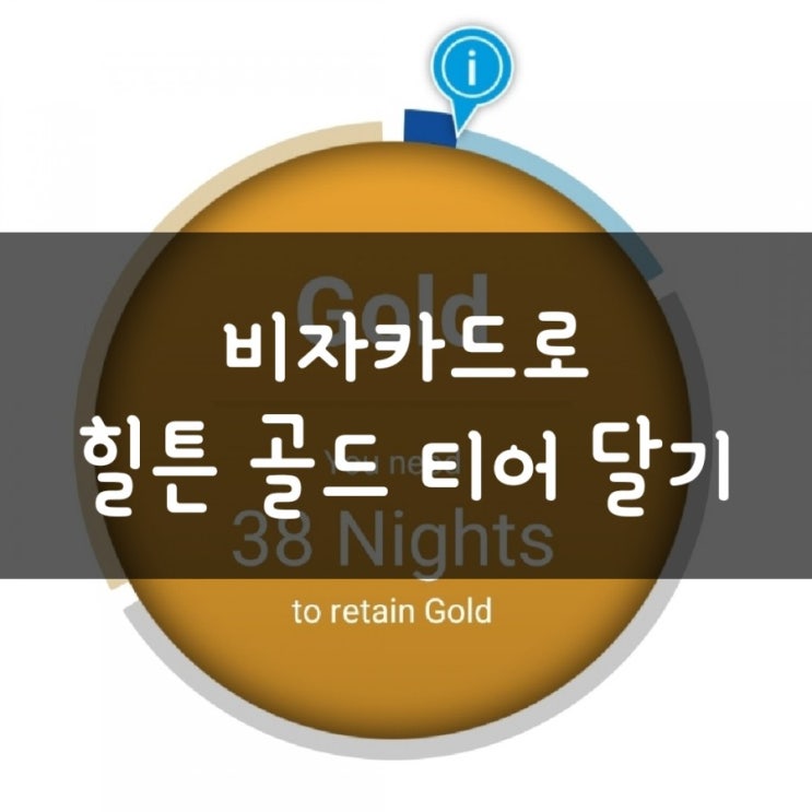  비자 인피니트 카드로 힐튼 골드등급 받기