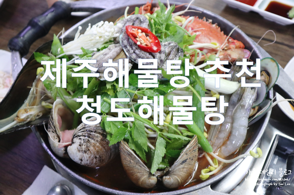  제주해물탕 추천 청도해물탕 푸짐한 전복과 문어