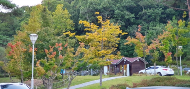  대전 식장산 세천유원지(세천공원)