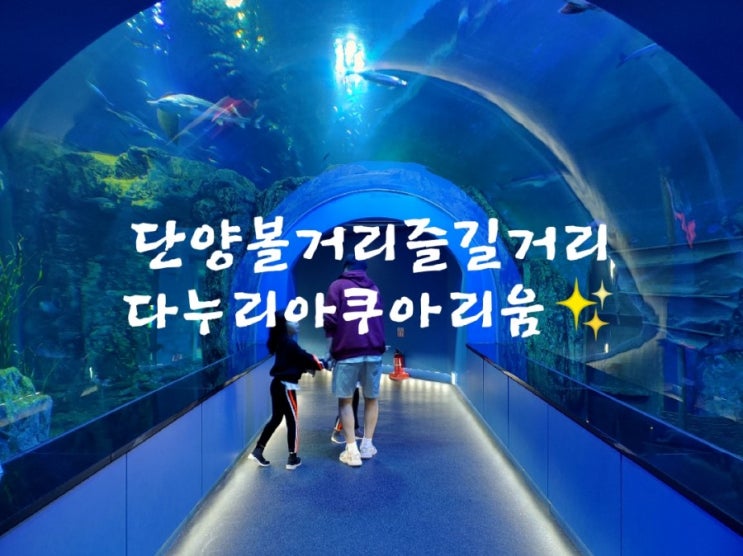  단양볼거리즐길거리여기다있다'다누리아쿠아리움'