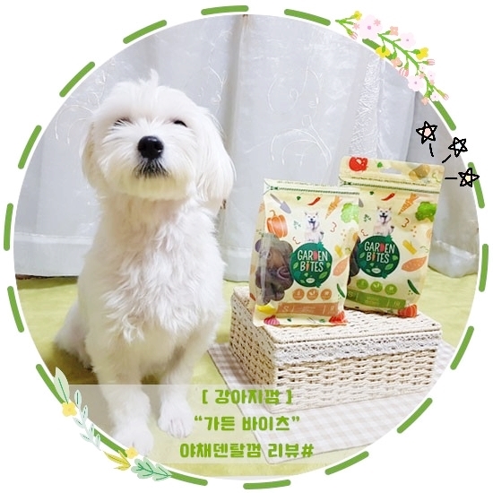  [강아지껌]"가든바이츠"야채덴탈껌 리뷰#