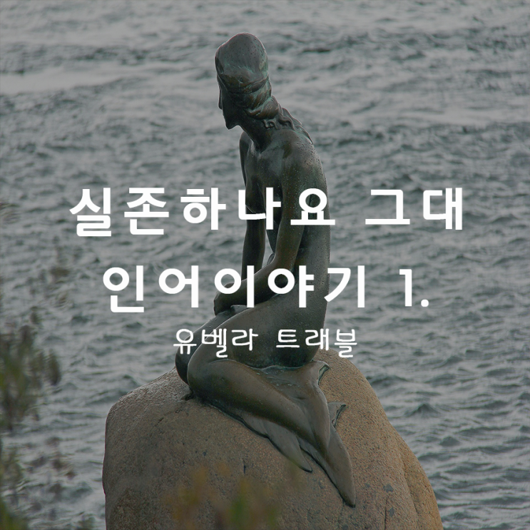  16. 특이한 문화 4) 존재하나요 그대 인어이야기 1.