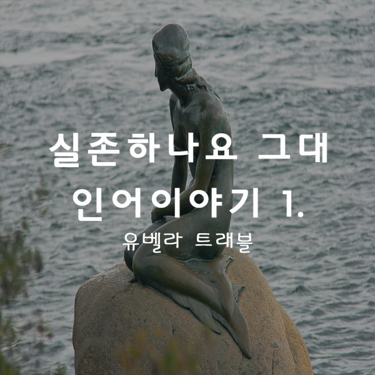 16. 특이한 문화 4) 존재하나요 그대 인어이야기 1.