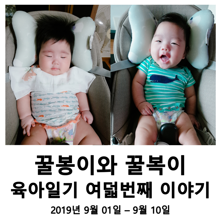  육아일기 008 - 꿀꿀이들아 나가자 밖으로