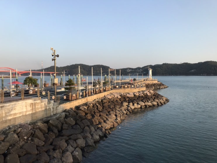  강진마량리 놀토수산시장 고등어낚시 갑오징어낚시