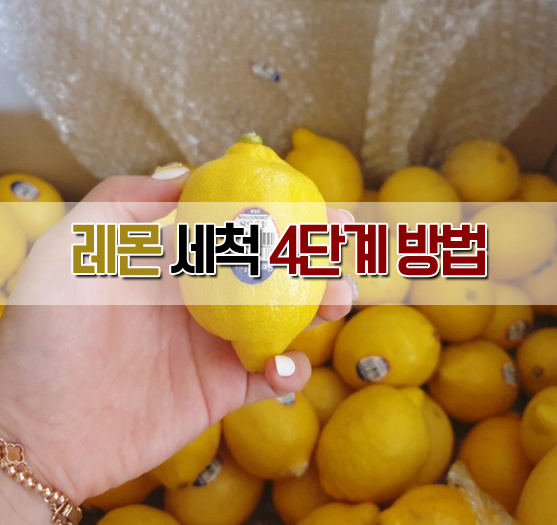  레몬 세척하는 방법과 수제 레몬청 만들기