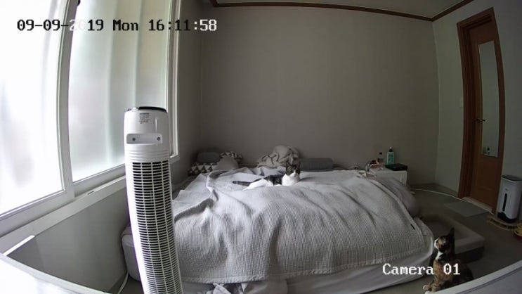  홈카메라 뭐살까 고민이시라면?이건 절대 사지마요- Hikvision