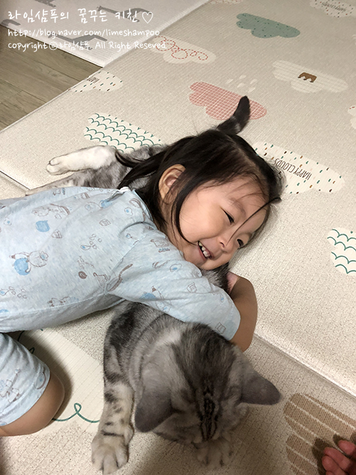  생후 921~930일차 키카/희동이쫓아다니기/이모집/영양제/급체