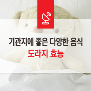  일교차 심한 환절기, 기관지에 좋은 도라지 효능 및 다양한 도라지 음식