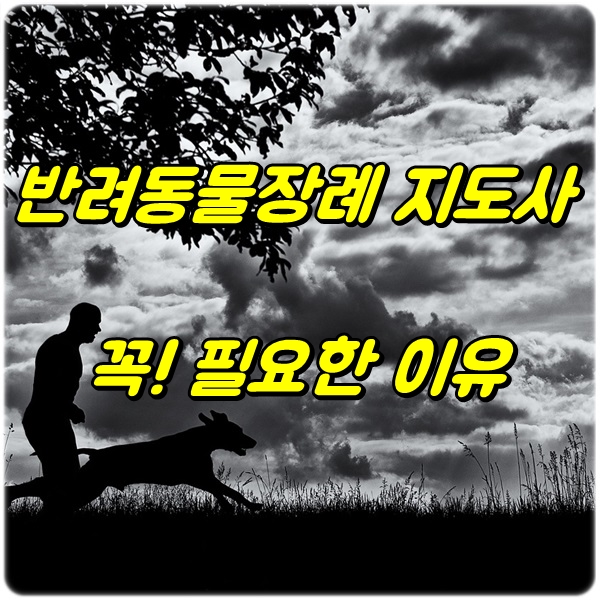  반려동물장례 지도사가 꼭! 필요한 이유
