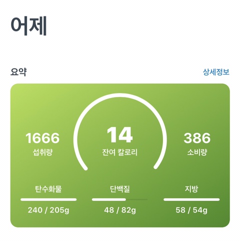 12dayㅣ내가 언제 이렇게 먹은거지?