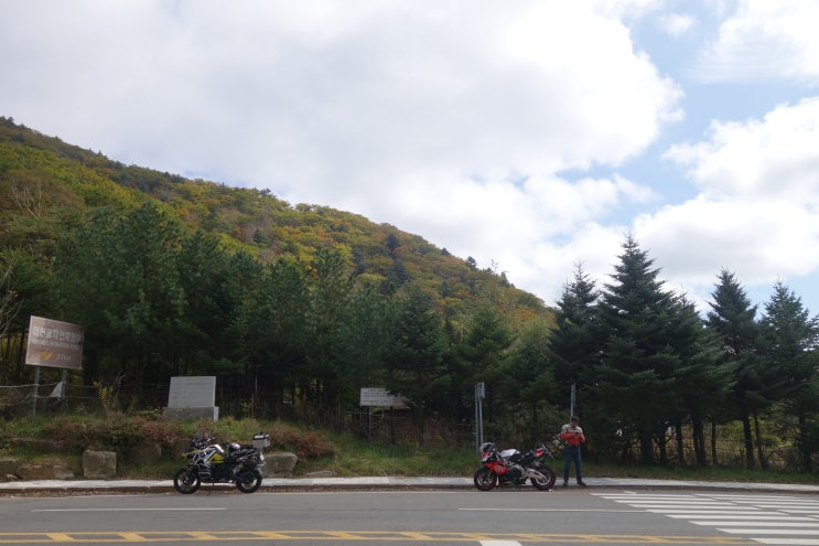  급하게 결성된 물회포장투어! (R1200GSA,RSV4)