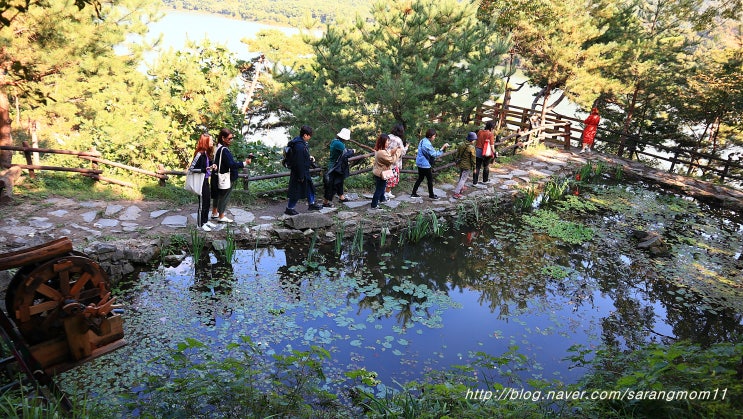  괴산 가볼만한 곳 산막이옛길과 유람선