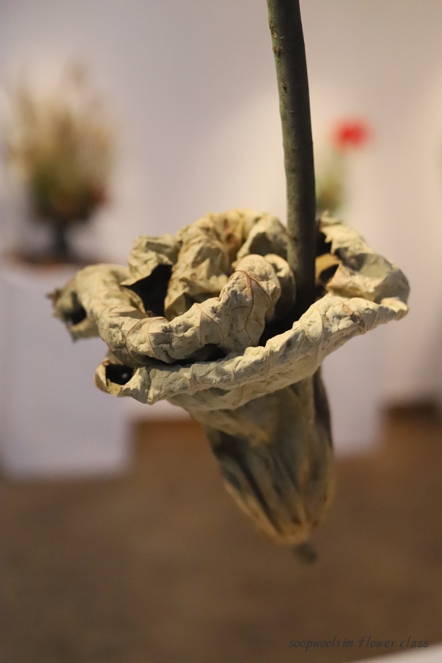  마미플라워디자인스쿨 코리아전2019 「flower&life」 그 두번째 이야기 플라워전시회 연잎- 마미플라워디자인스쿨 한국지정교실(서촌)-숲울림 플라워레슨 - 숲울림 플라워클래스
