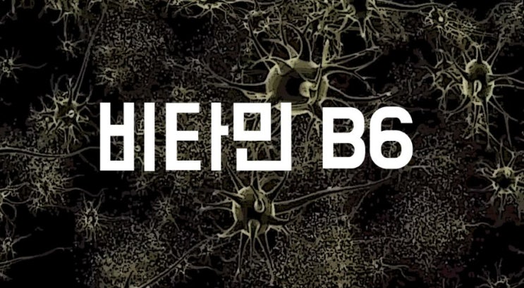  비타민B6 피리독신 (효능, 부작용, 음식)