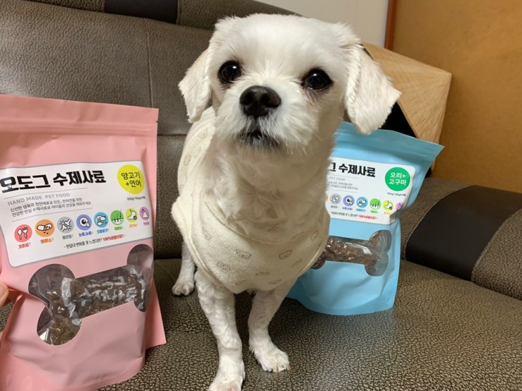  오도그 수제사료 강아지의 건강을 위해 선택했어요