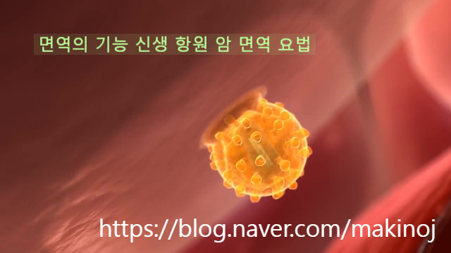  옵티보에 의해 증명된 암을 제거하는 면역의 기능 신생 항원 암 면역 요법.