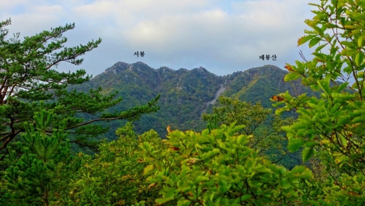  영월 매봉산
