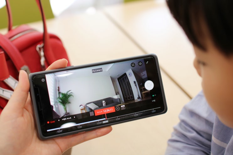  가정용CCTV, 애랑 개랑 같이 키우는 집에서 써 본 토스트캠 사용기