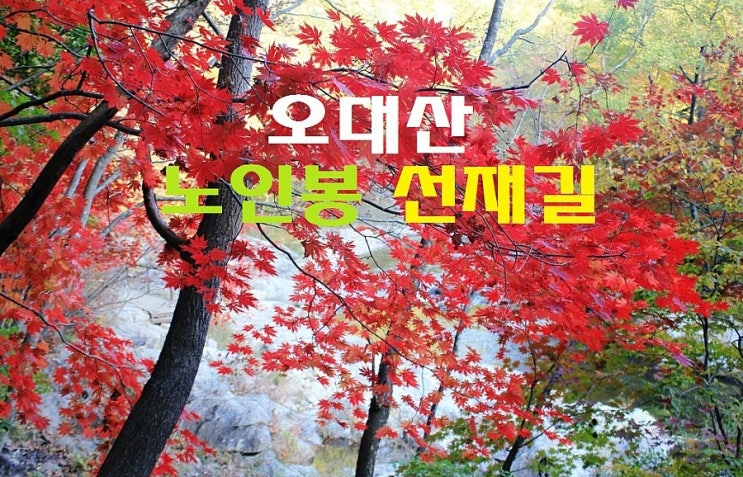  오대산 코스 - 5 - 노인봉 선재길