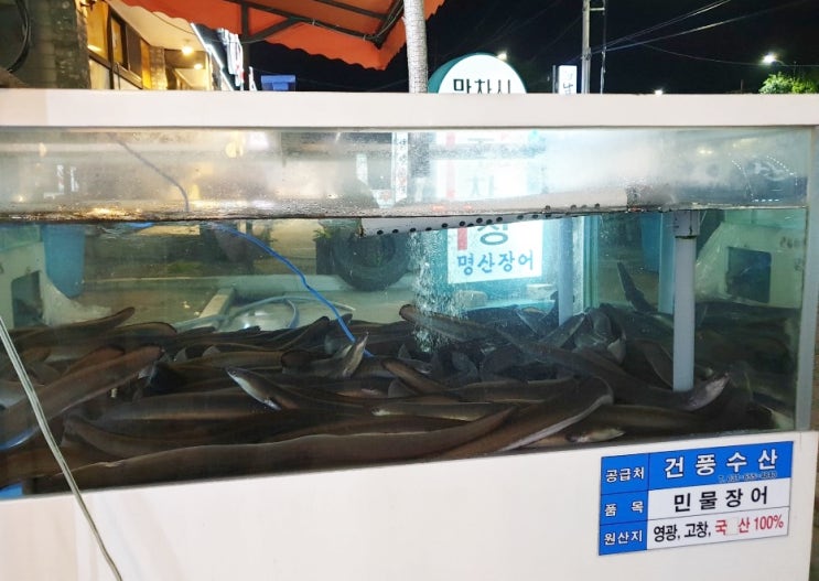  평택데이트코스에 장어는 어때?  저렴하고 배터지게 즐길 수 있어~