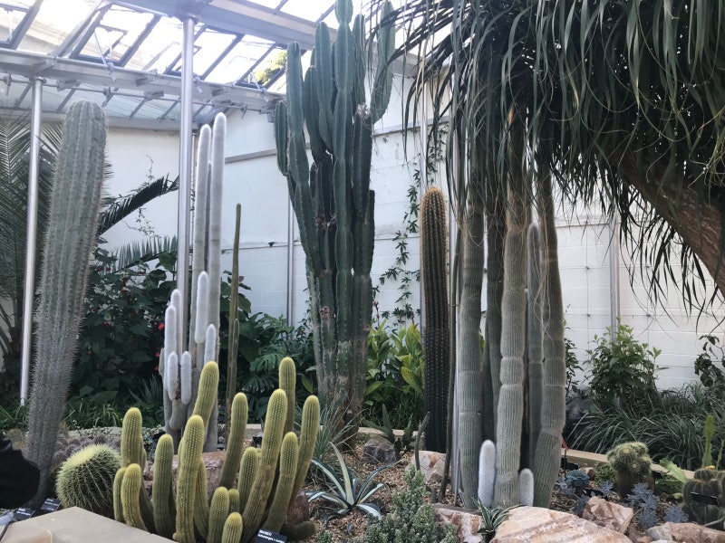 Day 17. 셰필드 나들이 (웨스턴 공원,