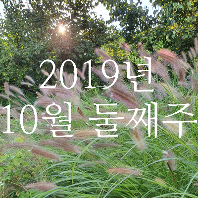  2019년 10월 둘째주