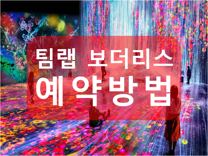  인생샷의 명소 도쿄 오다이바 팀랩 보더리스(TeamLab Borderless) 예약방법