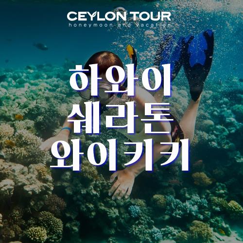 하와이 신혼여행 - 하와이 쉐라톤 와이키키호텔