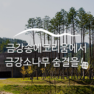  금강송에코리움에서 금강소나무 숨결을 느끼다 :: 울진여행, 울진금강송에코리움, 울진힐링장소, 힐링, 금강소나무숲, 경북가볼만한곳