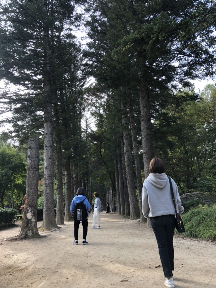  서울근교나들이 :: 4륜바이크 남이섬 배시간표 :: 가평 가볼만한곳 놀거리