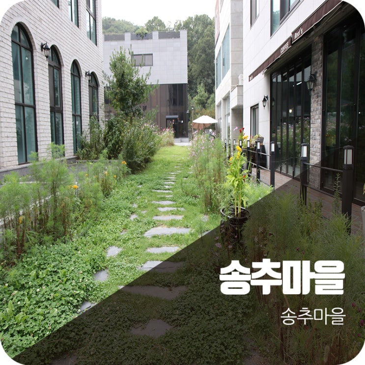  가을등산하기좋은곳 북한산 둘레길에서 만난 송추마을