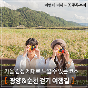 가을 여행지 추천 | 가을 감성 가득 광양&순천 걷기 여행, 서천 코스모스길&순천만 갈대길(여행에미치다X두루누비)