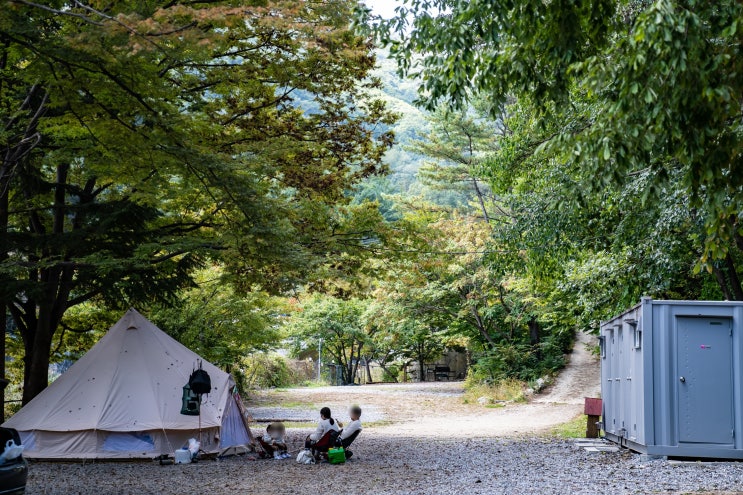 경기도 남양주 캠핑장 ::  힐링별밤 수목원 캠핑장