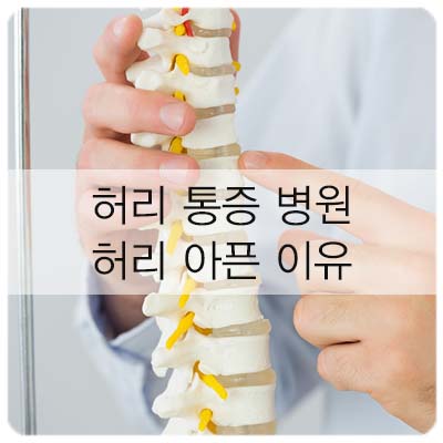  허리 통증 병원에서 알려 드리는 허리가 아픈 이유 5가지!