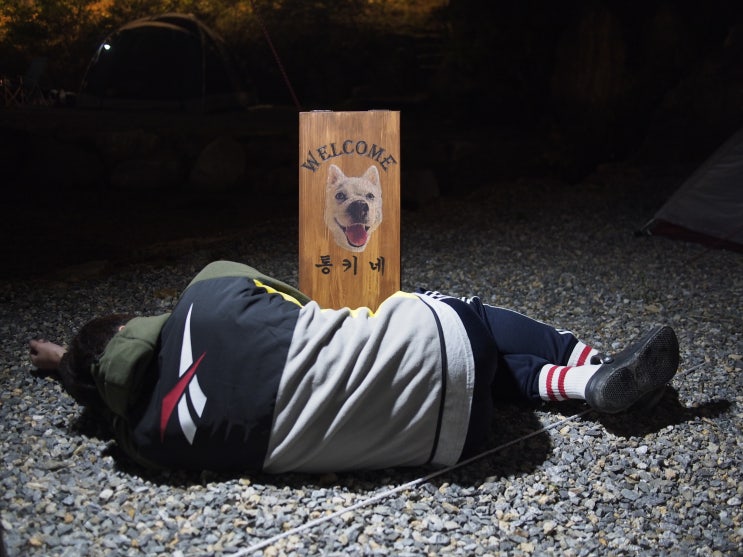  통키야 신상 캠핑장이다 신상! 경기도 양주 "GO OUT 감악산 애견 전용 캠핑장"