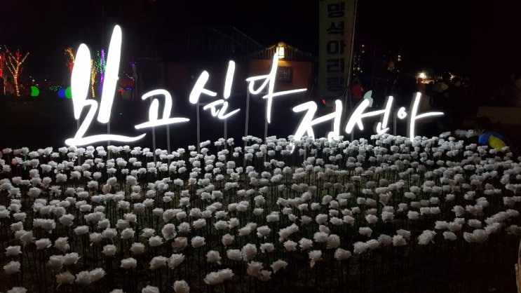  [1박2일 정선여행] 축제의밤 맛있는 먹거리들과 신나는 불꽃축제