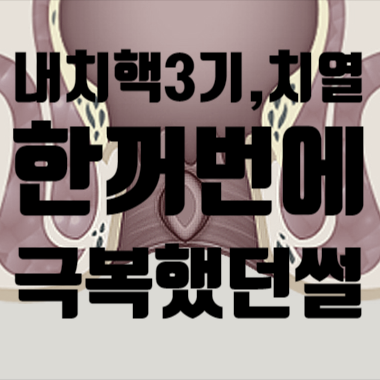  치열,내치핵3기 한꺼번에 극복한  끔찍했던 치질치료경험담(치질원인,변비증상,항문통증,항문종기,대변볼때피)