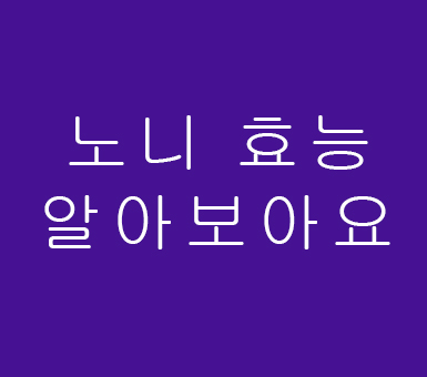 노니 효능 알아보아요 노니 효능 알아보아요