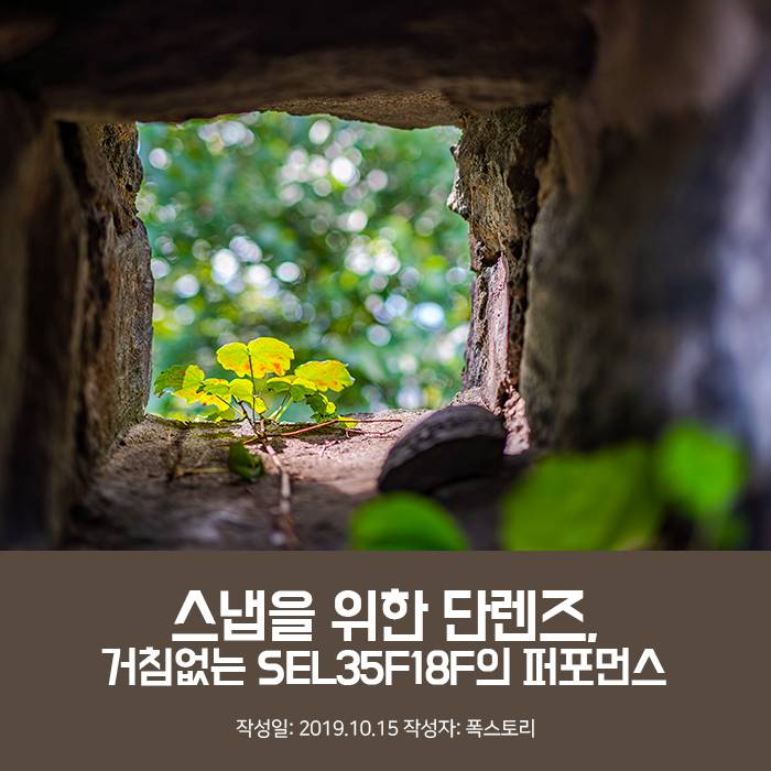 스냅을 위한 단렌즈, 거침없는 SEL35F18F의 퍼포먼스